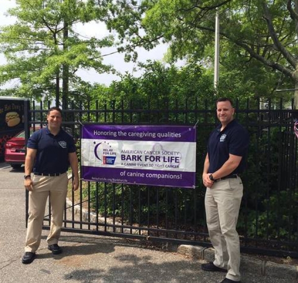 Gallery - Pro Protection Security