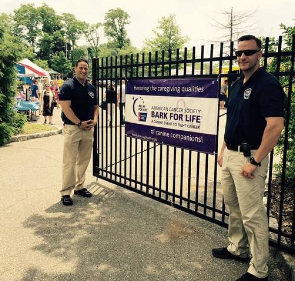 Gallery - Pro Protection Security